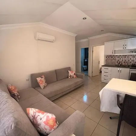 Safran * אלאניה